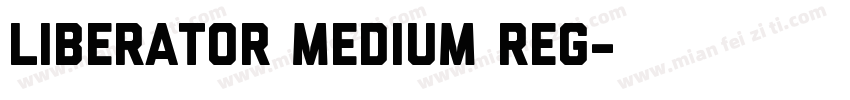 Liberator Medium Reg字体转换